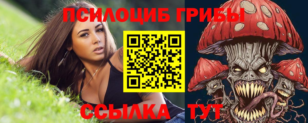 Воронеж  Галлюциногенные грибы GOLDEN TEACHER  сколько стоит  Вход с VPN 