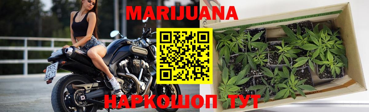 Каннабис планчик Воронеж